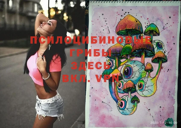 ешки Надым